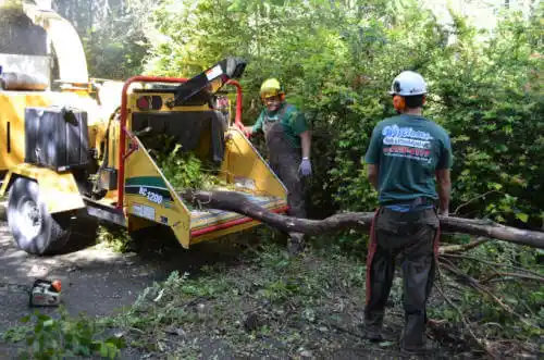 tree services Pea Ridge